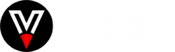 Voxelpoint